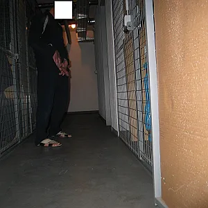 in the basement gallery image