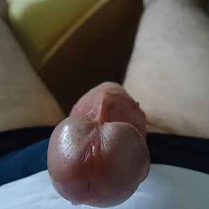 Horny cock gallery image
