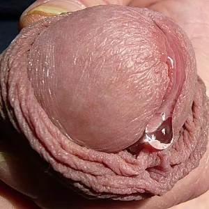 precum gallery image