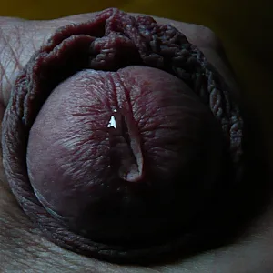 precum gallery image