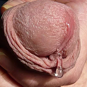 precum gallery image