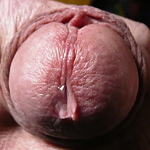 precum gallery image