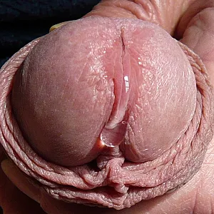 precum gallery image