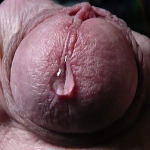 precum gallery image