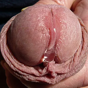 precum gallery image