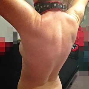 The Collar gallery image