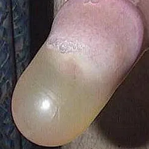 Peepics March 20111 gallery image