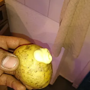 potatoe gallery image