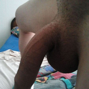 my long cock gallery image