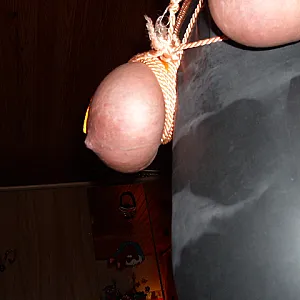neue bilder von uns. Galeriebild