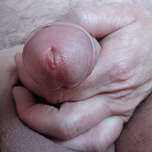 Bilder Galeriebild