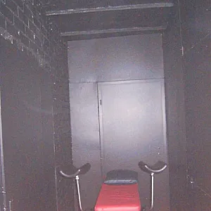 03.03.2011 Galeriebild