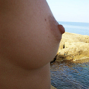 boobies Galeriebild