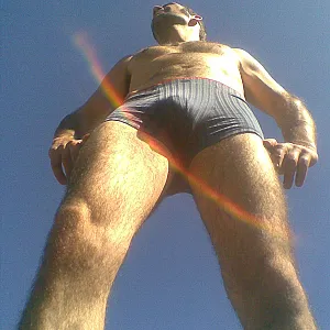 Backview 2012 gallery image
