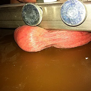 Cock and Balls gallery image