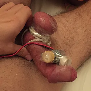 Dick and balls bondage gallery image