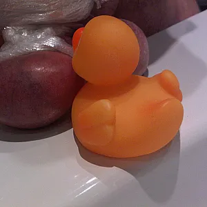 hello ducky gallery image