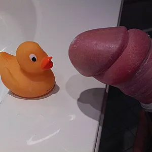 hello ducky gallery image