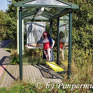 Trip 6 gallery image