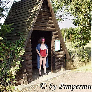Trip 6 gallery image