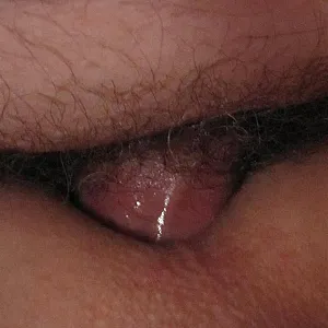 Andy NylonStrapsStute 5d Galeriebild