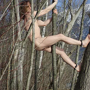 Hippies on Tour gallery image