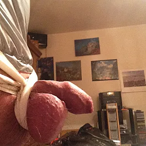 Anal with chain gallery image