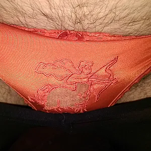 Das erste Bild von Diggy75's Galerie - nylon und slip
