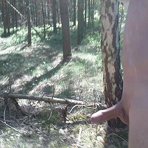 trip part 1 gallery image