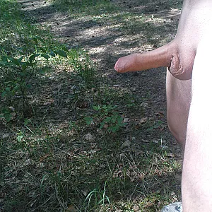 trip part 1 gallery image