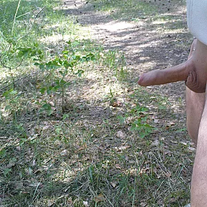 trip part 1 gallery image