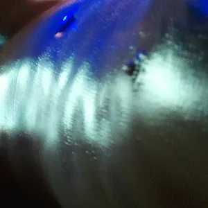 First image of BisZumCreampie's Gallery - this and that