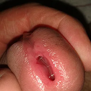 horny again gallery image