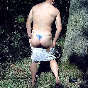 im Wald Galeriebild