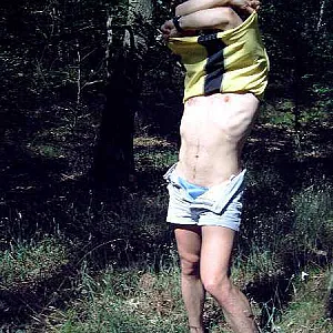 im Wald Galeriebild