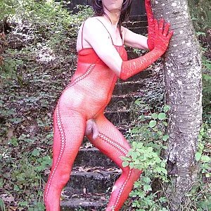 allein im Wald 3 Galeriebild