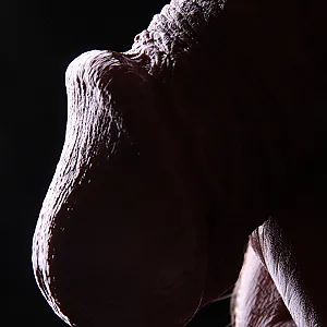 Horny shooting gallery image