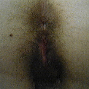 amiche.... Galeriebild