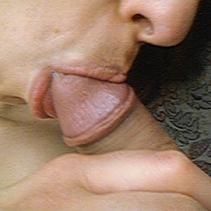 amiche.... Galeriebild