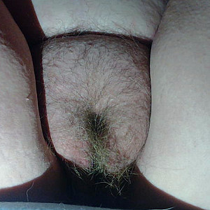 in the bush gallery image