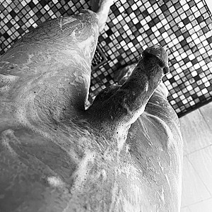 Dusche und Wiese gemäht Galeriebild
