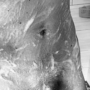 Dusche und Wiese gemäht Galeriebild
