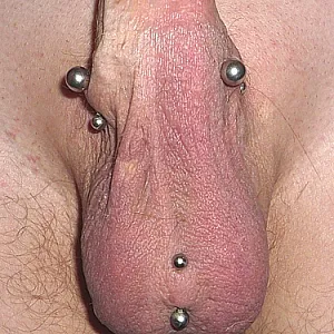 My piercings gallery image