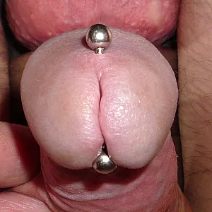 My piercings gallery image