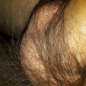 closeups gallery image