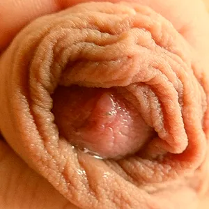 close ups gallery image