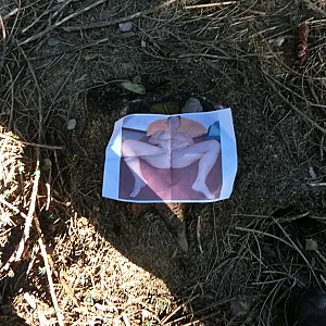 Geil im Wald mit daffy74 Galeriebild