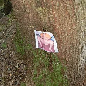 Geil im Wald mit daffy74 Galeriebild