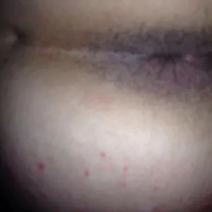 some pics gallery image