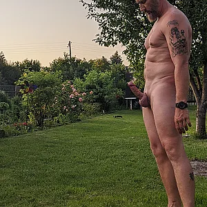 in the garden gallery image